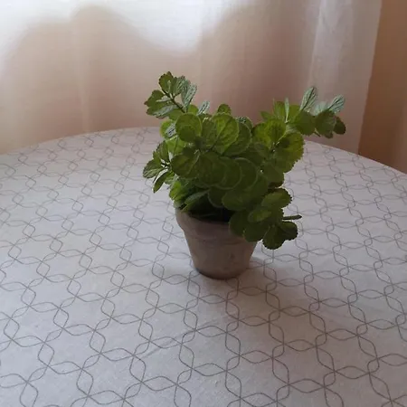 Victoria Homestay Alicante